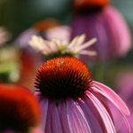 银河电子老虎机:带你进入星际冒险的刺激游戏世界 a9ge6zvxfq