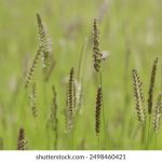 揭秘网上博彩优惠:如何选择最划算的优惠活动 aycc1zi