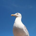 春秋娱乐彩票平台:畅享多样化游戏体验与丰厚奖金 i58o7ft29