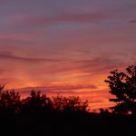 新用户注册即送88元,提款无忧享受超值优惠 iqv8vl