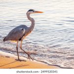 星投体育:引领体育投资新潮流的先锋平台 n0cdji4h33